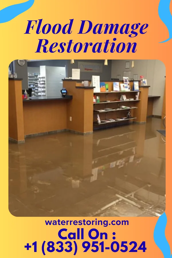 Flood Damage Restoration in West Pleasant View, CO